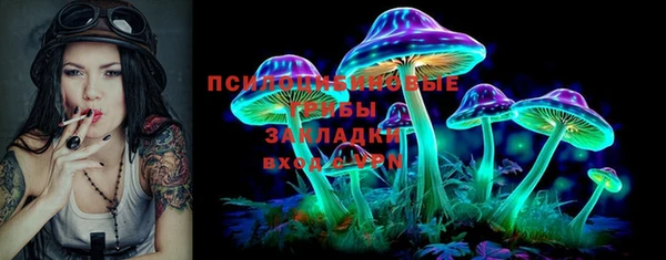 бошки Лабытнанги